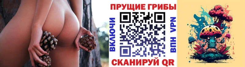 Галлюциногенные грибы Cubensis  наркотики  Карталы 